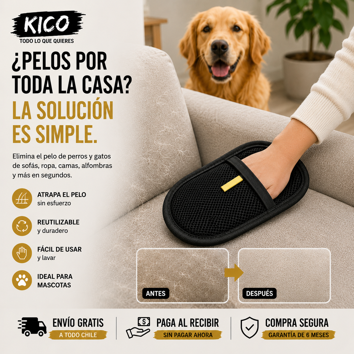 AMA A TU MASCOTA, NO LOS PELOS QUE DEJA POR TODA LA CASA 🐾 | PetSweep™
